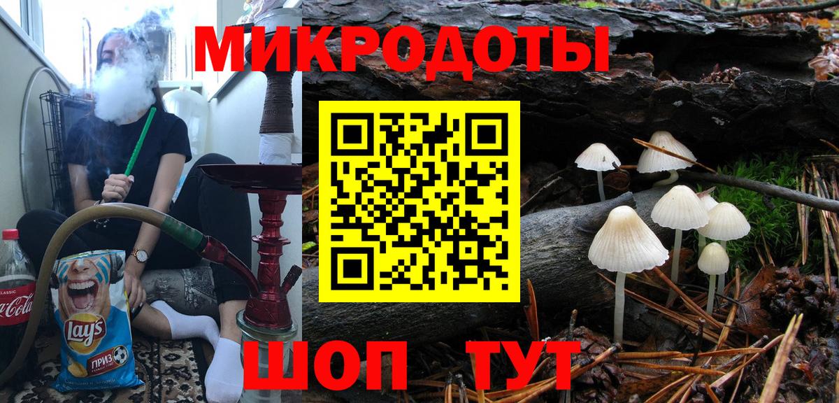 Псилоцибиновые грибы Psilocybine cubensis Тамбов