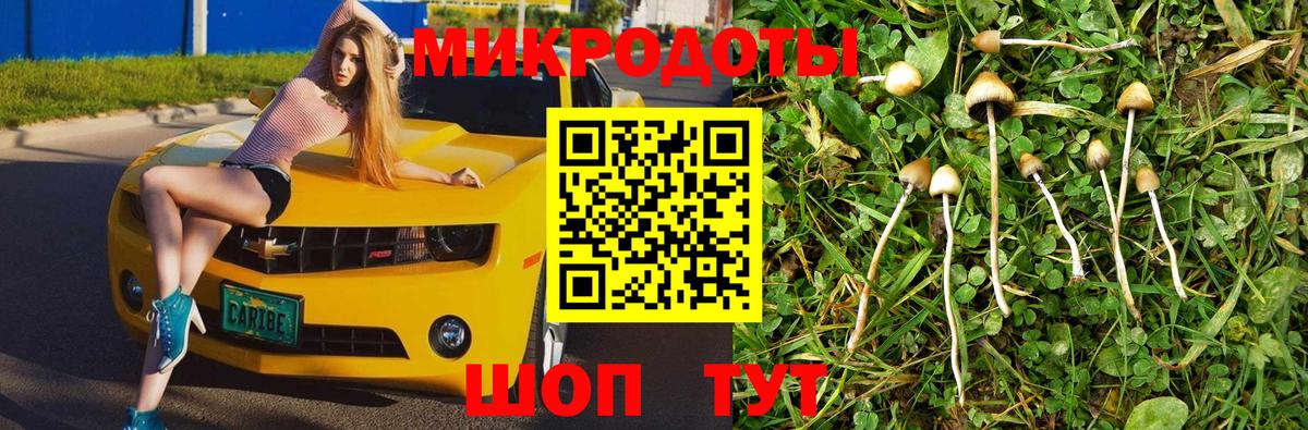 Псилоцибиновые грибы мицелий  Вход с VPN  Тамбов  Галлюциногенные грибы Cubensis 